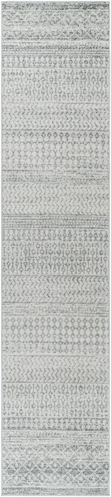 Livabliss - Elaziz 27inx12 Machine Woven Rug - ELZ2308-2712 veiw 1