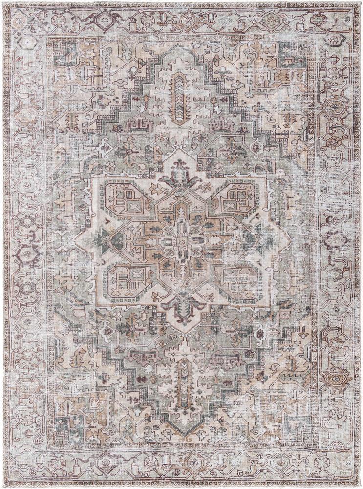 Livabliss - Embrace 53inx7 Machine Woven Rug - EMA2308-537 veiw 1