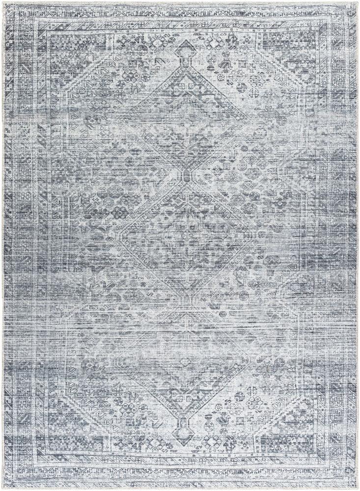 Livabliss - Embrace 67inx9 Machine Woven Rug - EMA2312-679 veiw 1