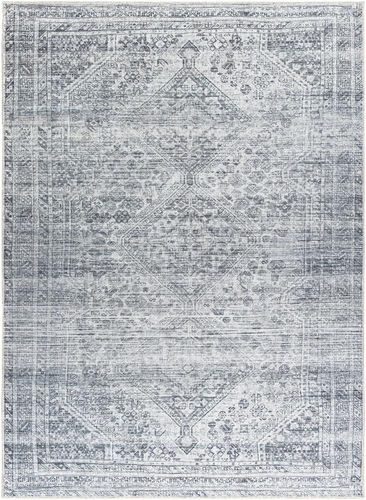 Livabliss - Embrace 710inx10 Machine Woven Rug - EMA2312-71010 veiw 1
