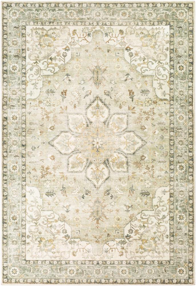 Livabliss - Erin 53inx77in Machine Woven Rug - ERN2310-576 veiw 1