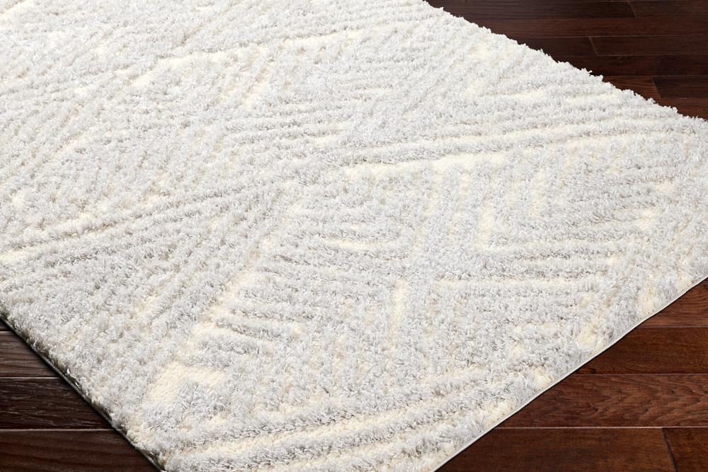 Livabliss - Everton Plus 53inx7 Machine Woven Rug - EVP2305-537 veiw 3