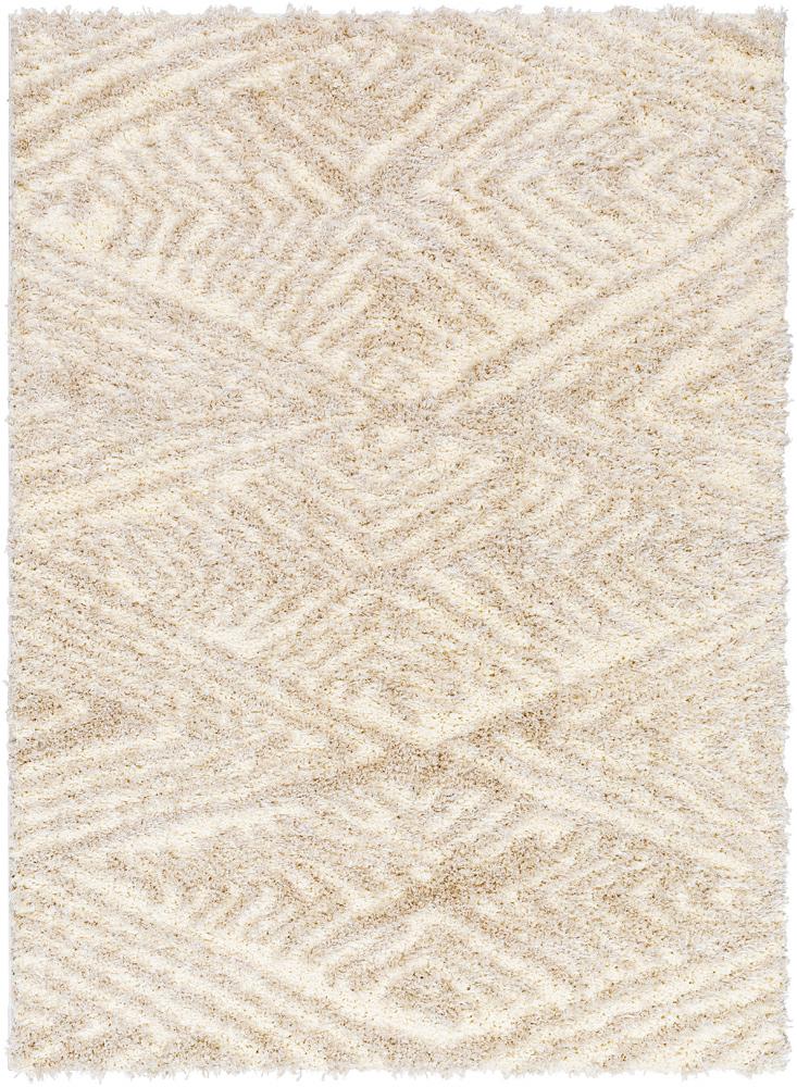 Livabliss - Everton Plus 53inx7 Machine Woven Rug - EVP2306-537 veiw 1