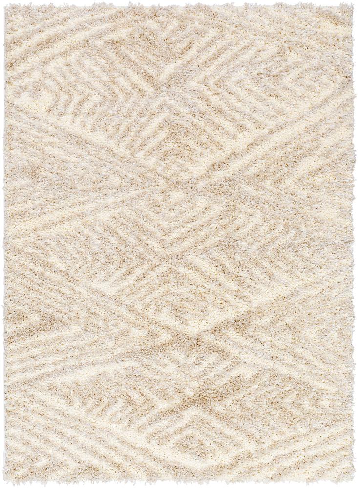Livabliss - Everton Plus 67inx92in Machine Woven Rug - EVP2306-6692 veiw 1