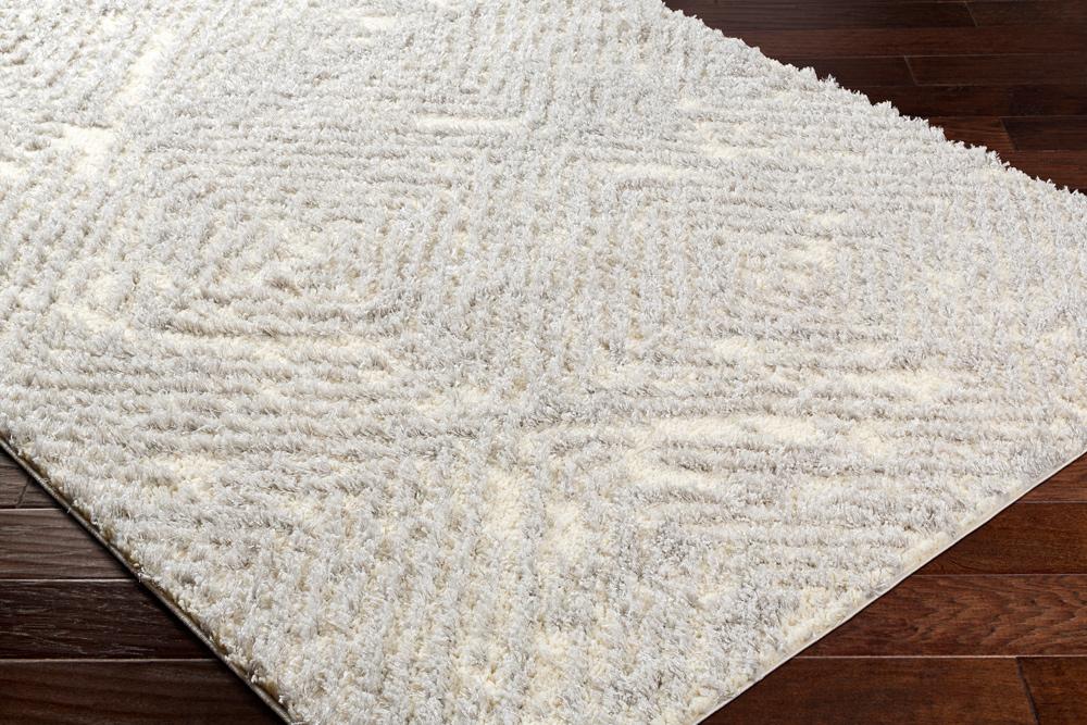 Livabliss - Everton Plus 53inx7 Machine Woven Rug - EVP2312-537 veiw 3