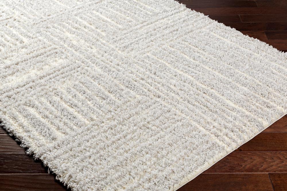 Livabliss - Everton Plus 53inx7 Machine Woven Rug - EVP2314-537 veiw 3