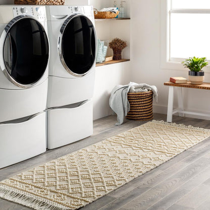 Livabliss - Farmhouse Tassels 26inx8 Handmade Rug - FTS2305-268_CLOSEOUT veiw 2