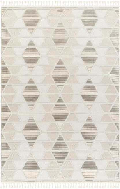 Livabliss - Finland 53inx7 Machine Woven Rug - FND2301-537 veiw 1