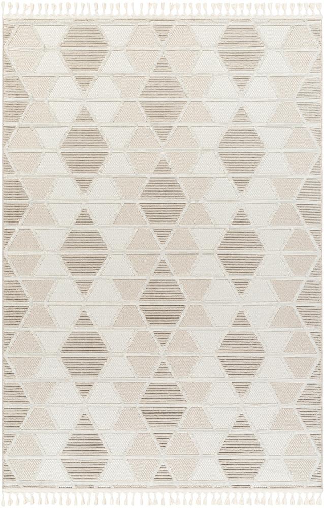 Livabliss - Finland 710inx10 Machine Woven Rug - FND2301-71010 veiw 1