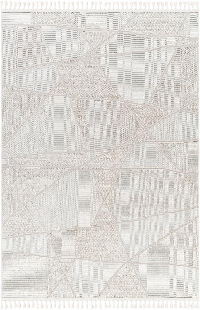 Livabliss - Finland 67inx9 Machine Woven Rug - FND2302-679 veiw 1
