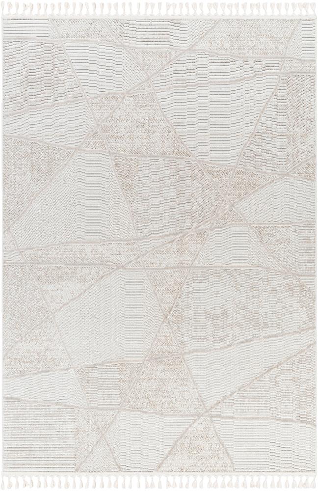 Livabliss - Finland 710inx10 Machine Woven Rug - FND2302-71010 veiw 1