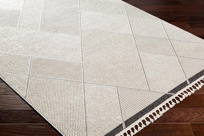 Livabliss - Finland 22inx39in Machine Woven Rug - FND2303-2745 veiw 3