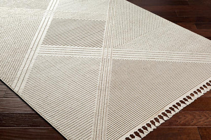 Livabliss - Finland 67inx9 Machine Woven Rug - FND2304-679 veiw 3