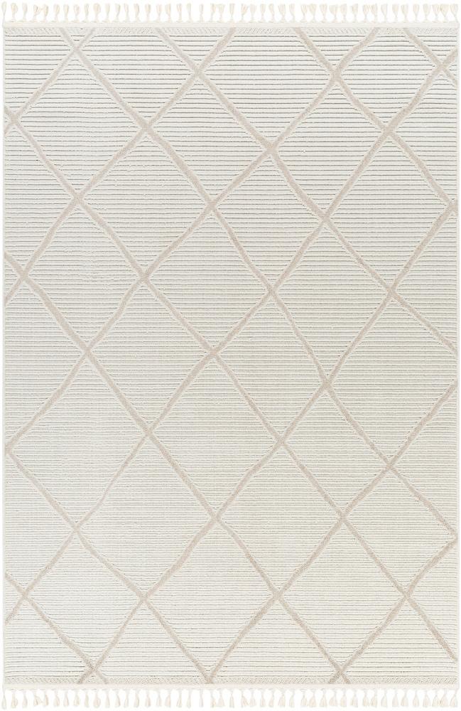 Livabliss - Finland 53inx7 Machine Woven Rug - FND2309-537 veiw 1