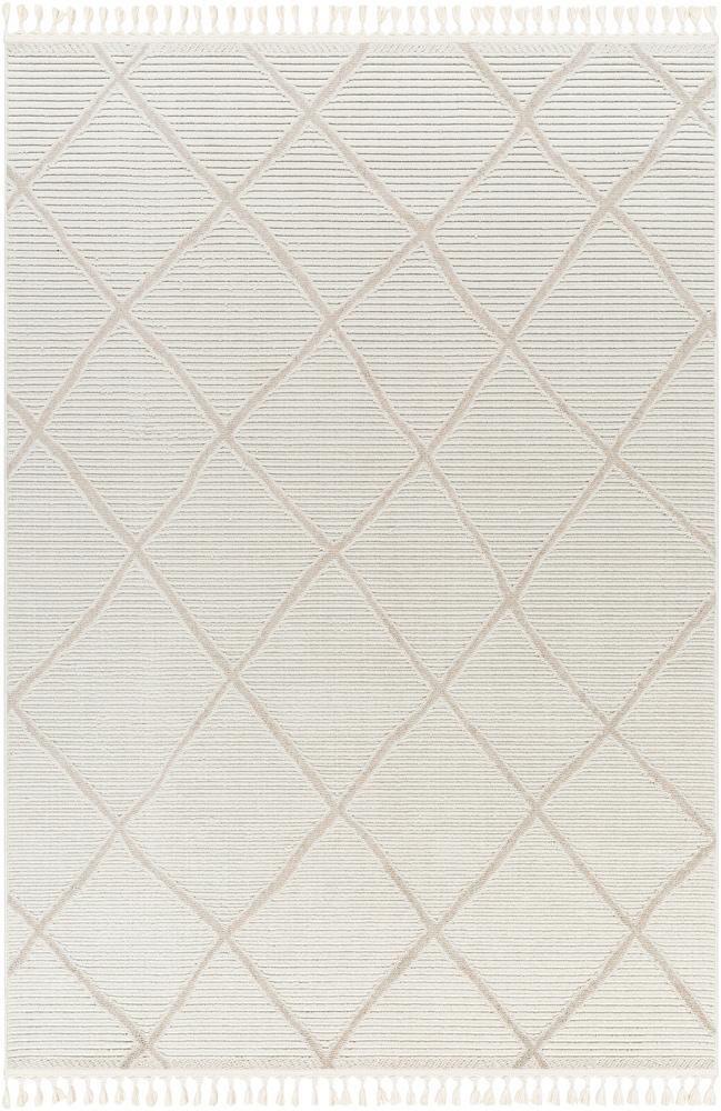 Livabliss - Finland 710inx10 Machine Woven Rug - FND2309-71010 veiw 1