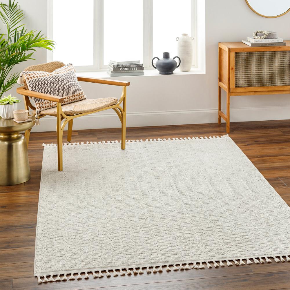 Livabliss - Finland 27inx73in Machine Woven Rug - FND2310-2773 veiw 2