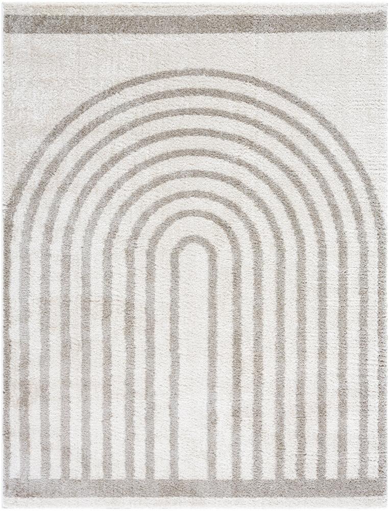 Livabliss - Fossay Shag 53inx7 Machine Woven Rug - FSG2313-537 veiw 1