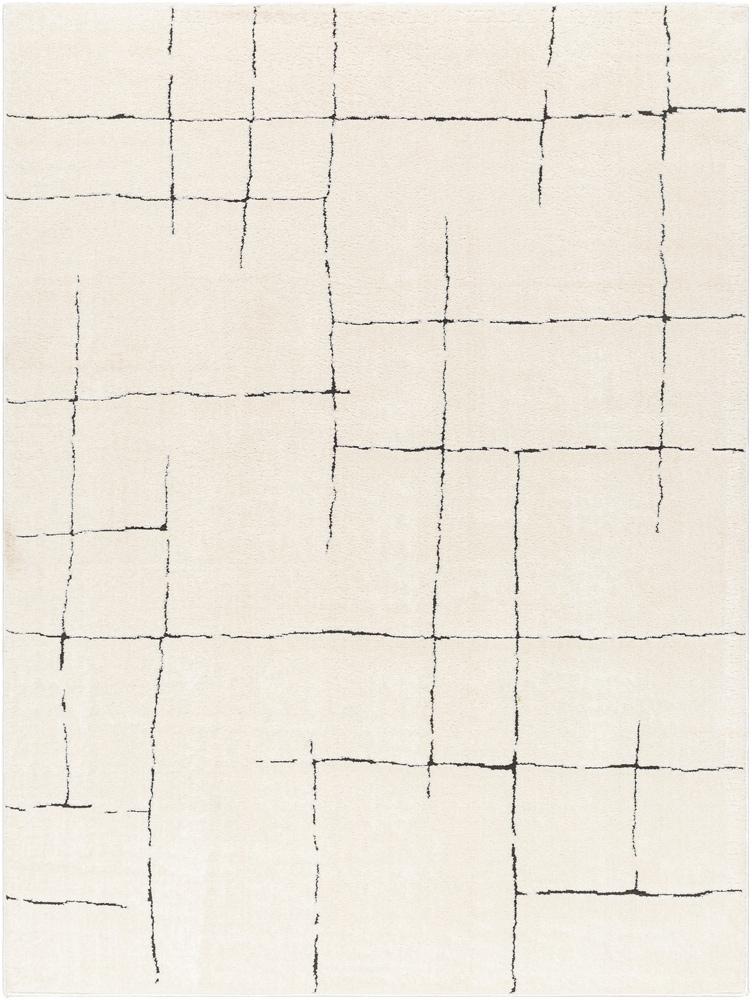 Livabliss - Freud 67inx9 Machine Woven Rug - FEU2300-679 veiw 1