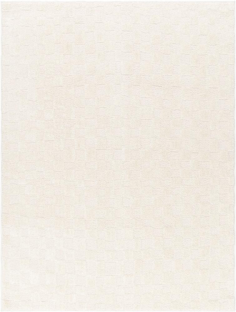 Livabliss - Freud 67inx9 Machine Woven Rug - FEU2306-679 veiw 1