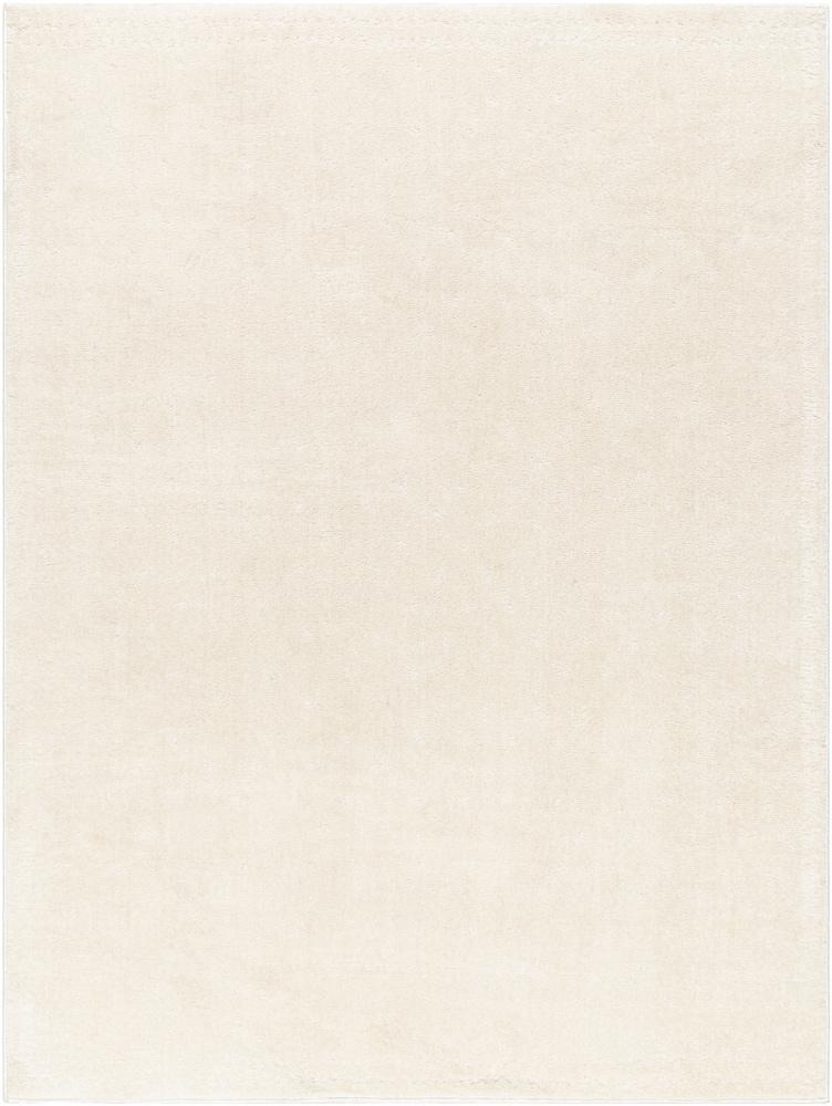 Livabliss - Freud 53inx7 Machine Woven Rug - FEU2316-537 veiw 1