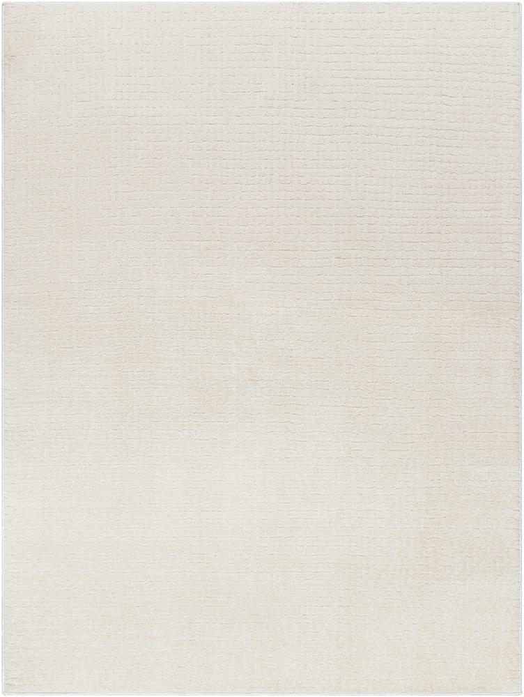Livabliss - Freud 67inx9 Machine Woven Rug - FEU2319-679 veiw 1