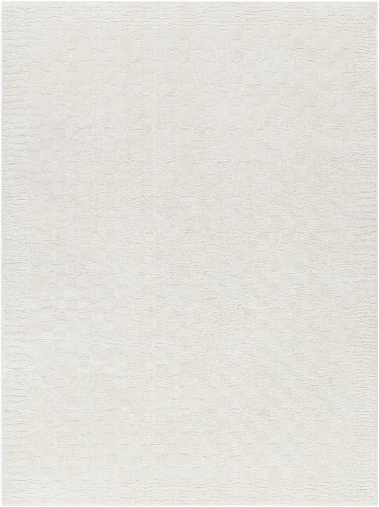 Livabliss - Freud 92inx12 Machine Woven Rug - FEU2327-9212 veiw 1