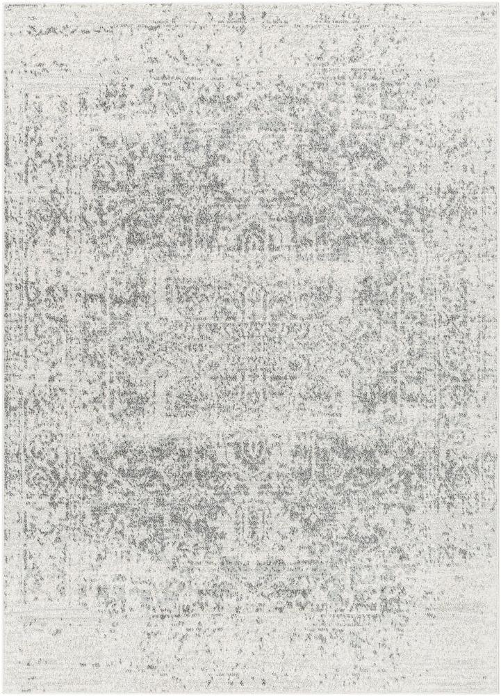 Livabliss - Harput 12x181in Machine Woven Rug - HAP1024-1218 veiw 1
