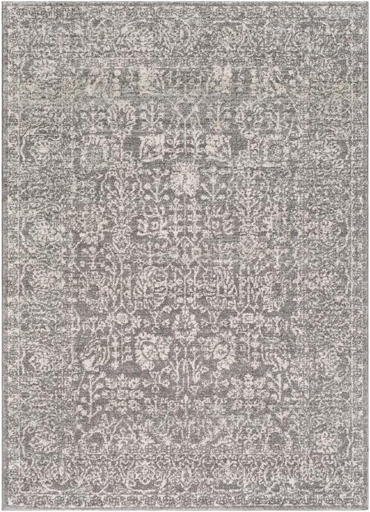 Livabliss - Harput 53inx73in Machine Woven Rug - HAP1029-5373 veiw 1