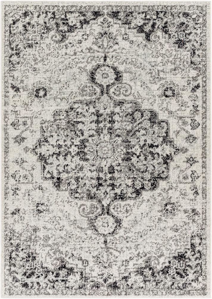Livabliss - Harput 311inx57in Machine Woven Rug - HAP1061-31157 veiw 1