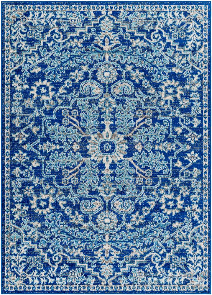 Livabliss - Harput 53inx73in Machine Woven Rug - HAP1068-5373 veiw 1