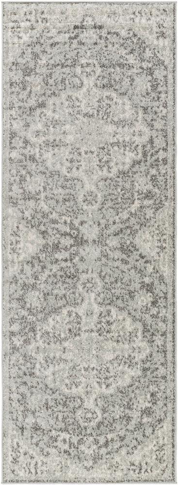Livabliss - Harput 27inx73in Machine Woven Rug - HAP1071-2773 veiw 1