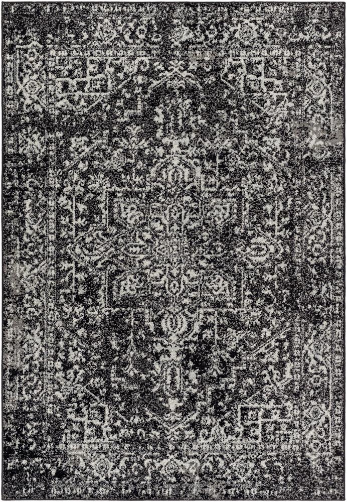 Livabliss - Harput 53inx73in Machine Woven Rug - HAP1087-5373 veiw 1