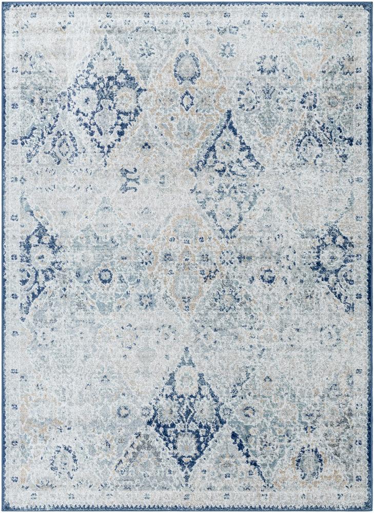 Livabliss - Harput 810inx126in Machine Woven Rug - HAP1169-93126 veiw 1