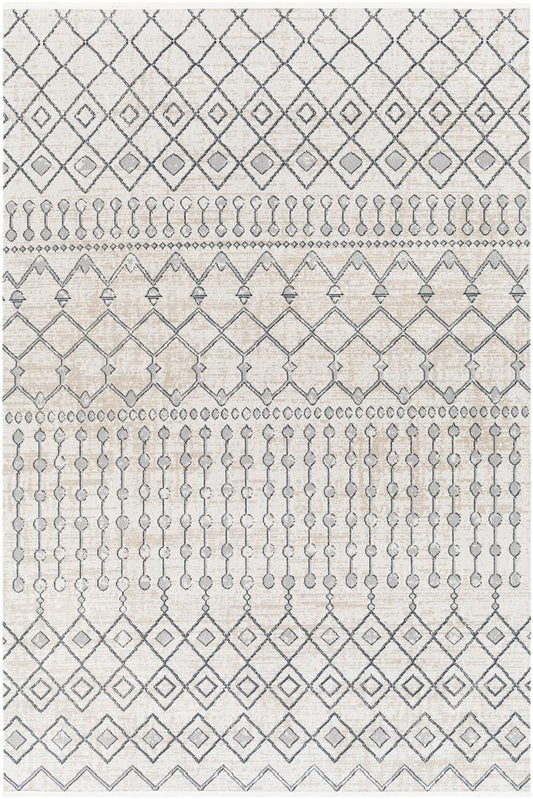 Livabliss - Lavadora 67inx9 Machine Woven Rug - LVR2339-679 veiw 1