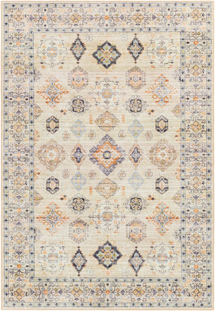 Livabliss - Leicester 53inx7 Machine Woven Rug - LEC2303-537 veiw 1