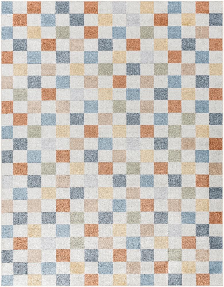 Livabliss - Lillian 53inx7 Machine Woven Rug - LLL2338-537 veiw 1