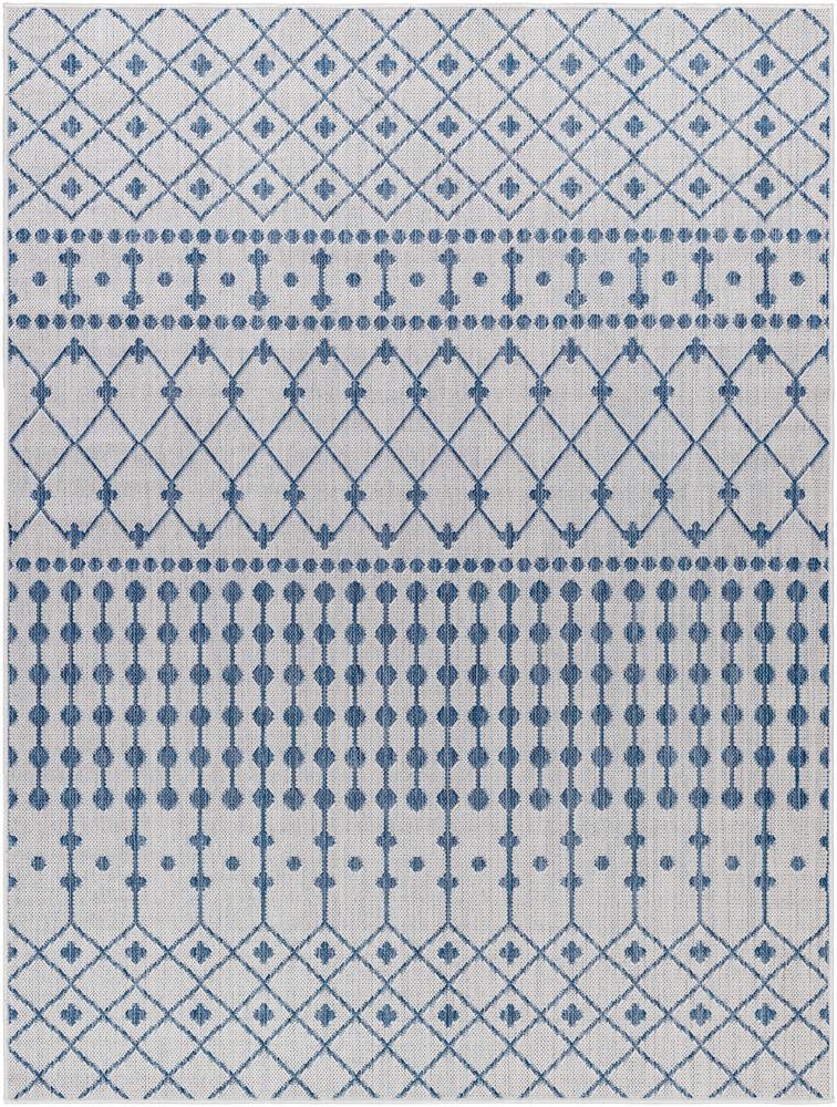 Livabliss - Long Beach 67inx9 Machine Woven Rug - LBH2330-679_CLOSEOUT veiw 1