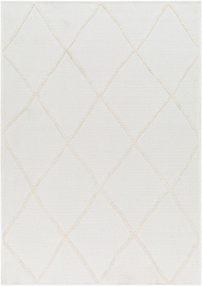 Livabliss - Lyna 33inx5 Machine Woven Rug - LYA2303-335_CLOSEOUT veiw 1