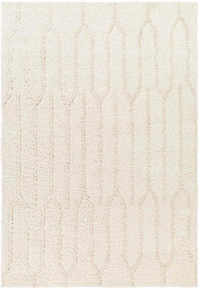 Livabliss - Maryland Shag 53inx7 Machine Woven Rug - MSG2301-537 veiw 1