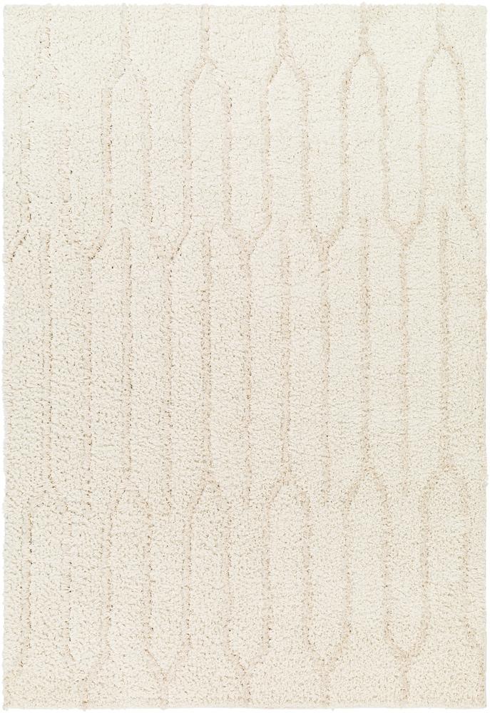 Livabliss - Maryland Shag 67inx9 Machine Woven Rug - MSG2301-679 veiw 1