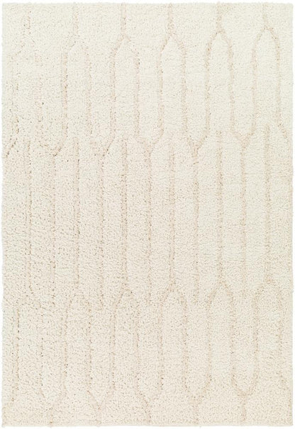 Livabliss - Maryland Shag 67inx9 Machine Woven Rug - MSG2301-679 veiw 1