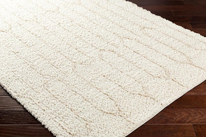 Livabliss - Maryland Shag 710inx10 Machine Woven Rug - MSG2301-71010 veiw 3