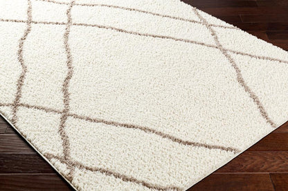 Livabliss - Maryland Shag 53inx7 Machine Woven Rug - MSG2302-537 veiw 3