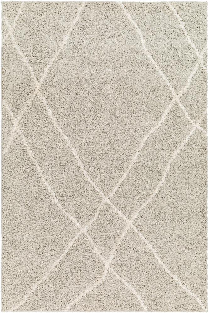 Livabliss - Maryland Shag 53inx7 Machine Woven Rug - MSG2303-537 veiw 1