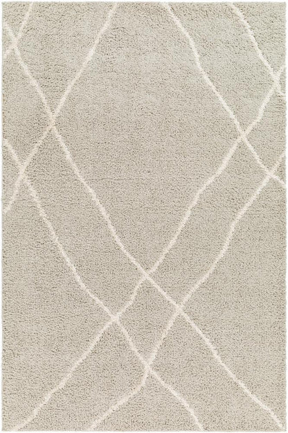 Livabliss - Maryland Shag 53inx7 Machine Woven Rug - MSG2303-537 veiw 1