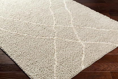 Livabliss - Maryland Shag 710inx10 Machine Woven Rug - MSG2303-71010 veiw 3