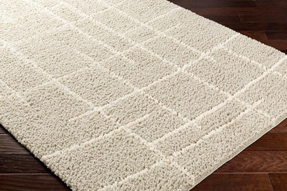 Livabliss - Maryland Shag 710inx10 Machine Woven Rug - MSG2307-71010 veiw 3