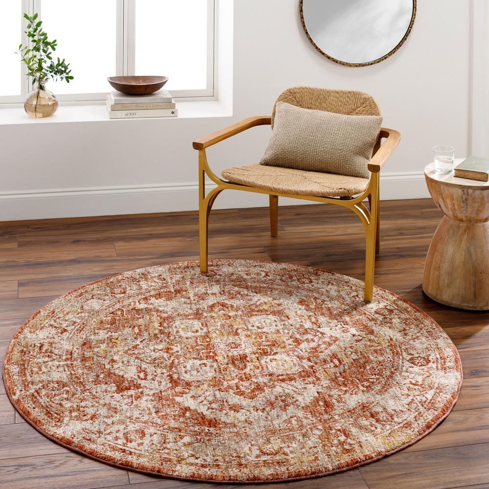 Livabliss - Mirabel 67inx67in Machine Woven Rug - MBE2304-67RD veiw 2