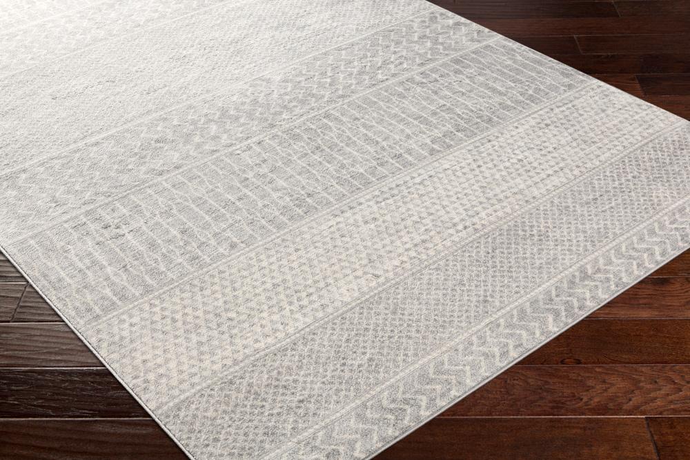 Livabliss - Monaco 43inx511in Machine Woven Rug - MOC2304-43511 veiw 3