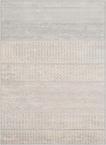 Livabliss - Monaco 53inx73in Machine Woven Rug - MOC2306-5373 veiw 1
